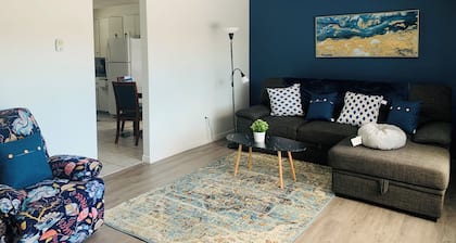 fully furnished 2 bedrooms house