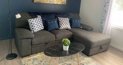 fully furnished 2 bedrooms house