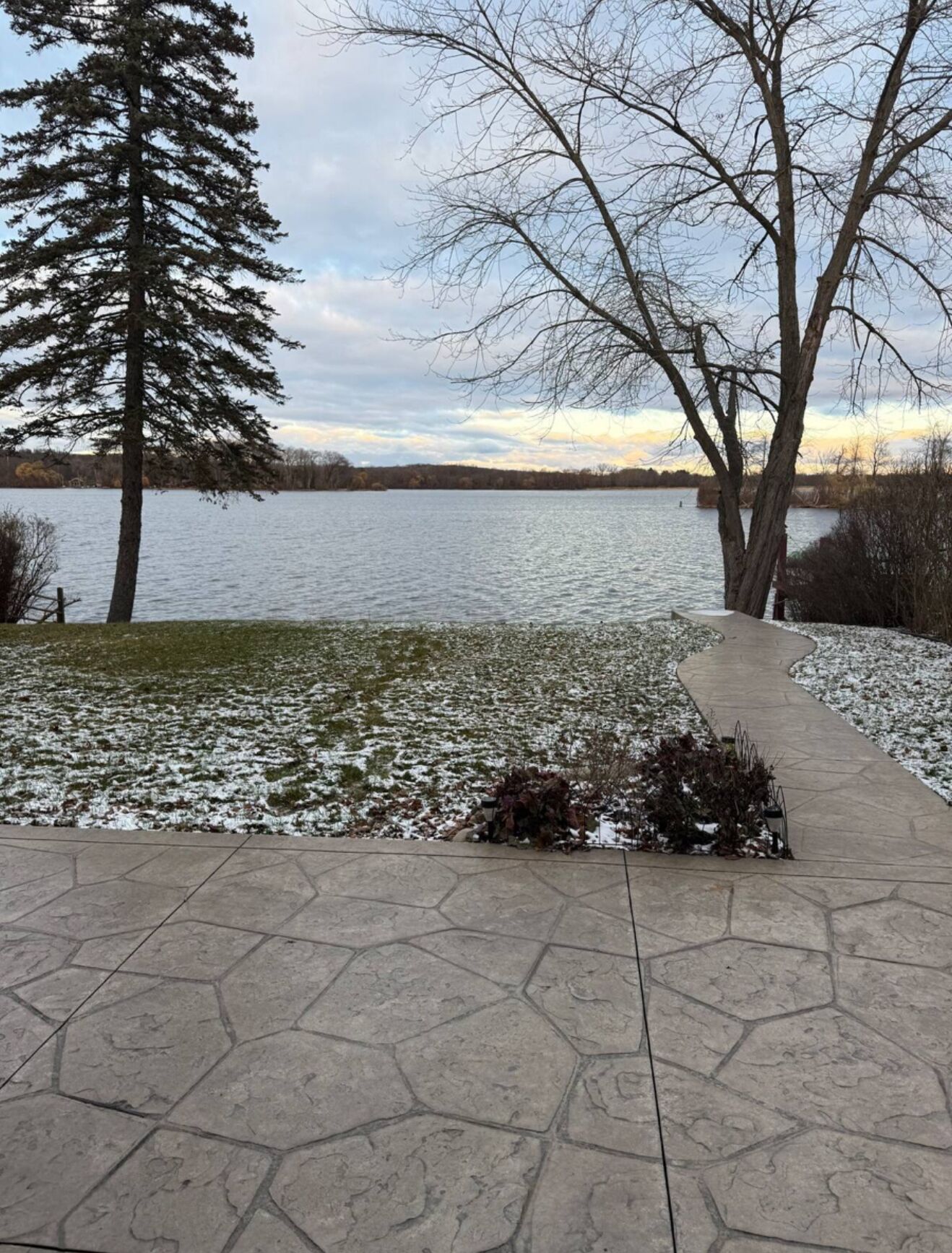 A paved walkway leading to a lake with a large tree on the left and a smaller tree on the right.