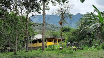 Parco della struttura