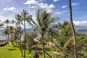 Un paysage tropical avec des palmiers, un ciel dégagé et une vue sur l’océan.