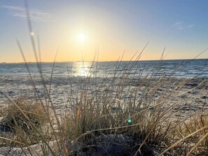 Escena de playa con el sol poniéndose sobre el océano, hierbas en primer plano y cielo despejado.