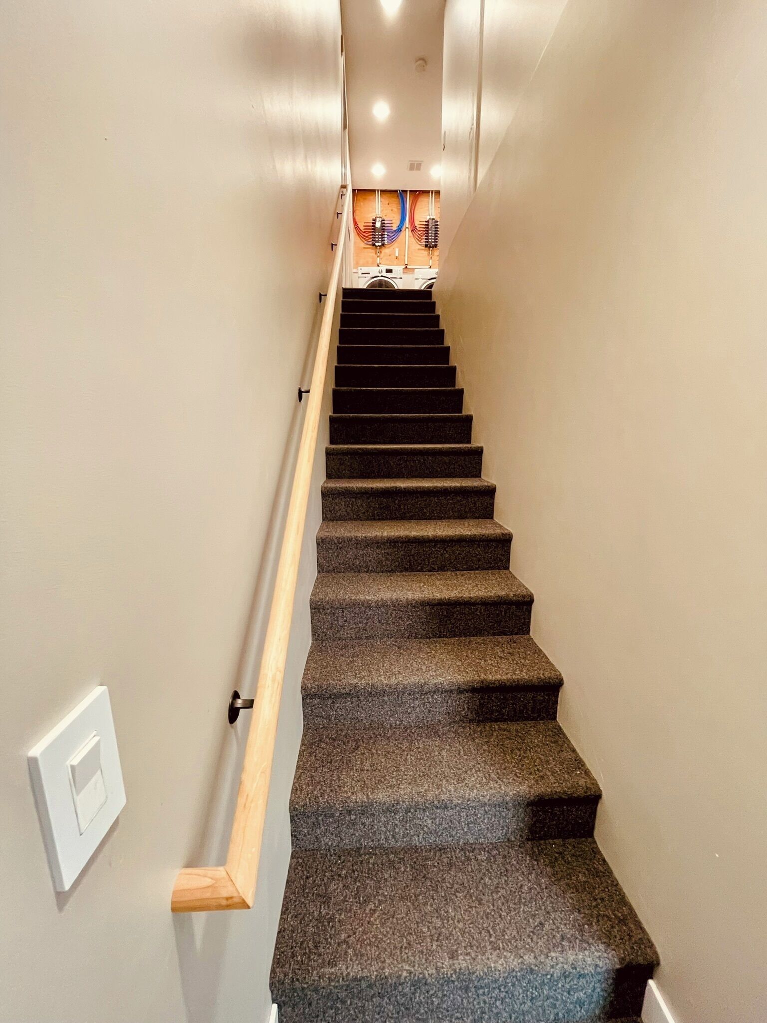 Una escalera con peldaños alfombrados, barandilla de madera y un interruptor de luz en la pared.