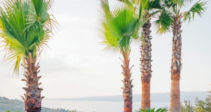 Sapanca Sunset Villas