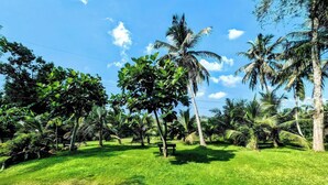 A lush green landscape with palm trees and a bench. - Room in Guest Room - Serene Oasis in Galle - Tranquil Retreat With Breathtaking Views (Galle)