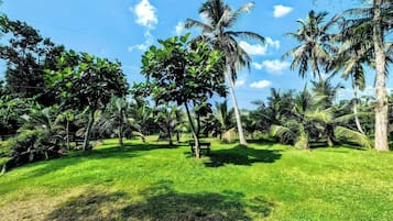 Jardin