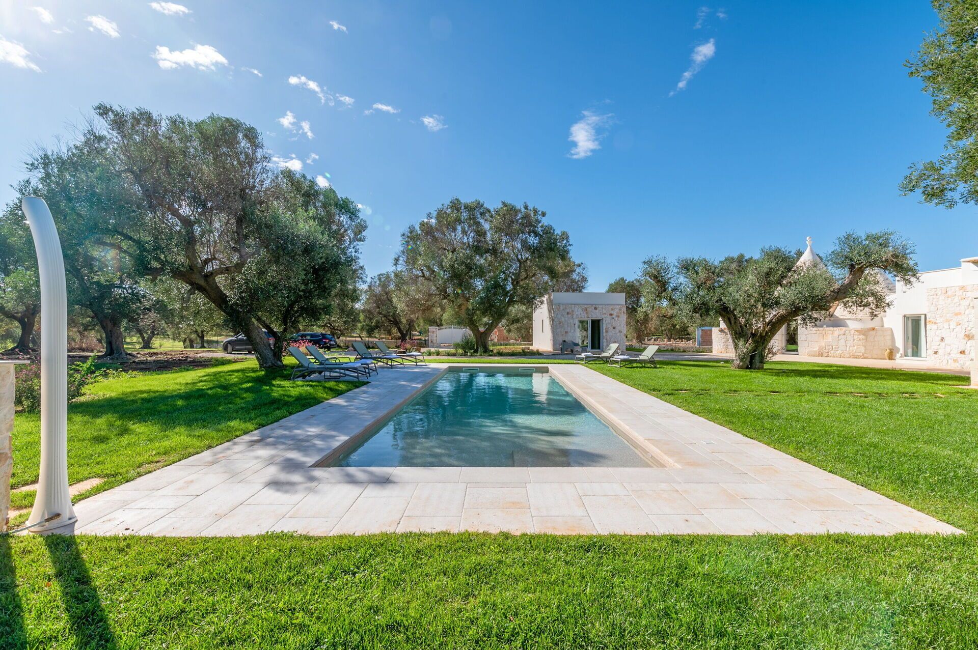 A swimming pool with a stone deck, surrounded by well-maintained grass and trees.