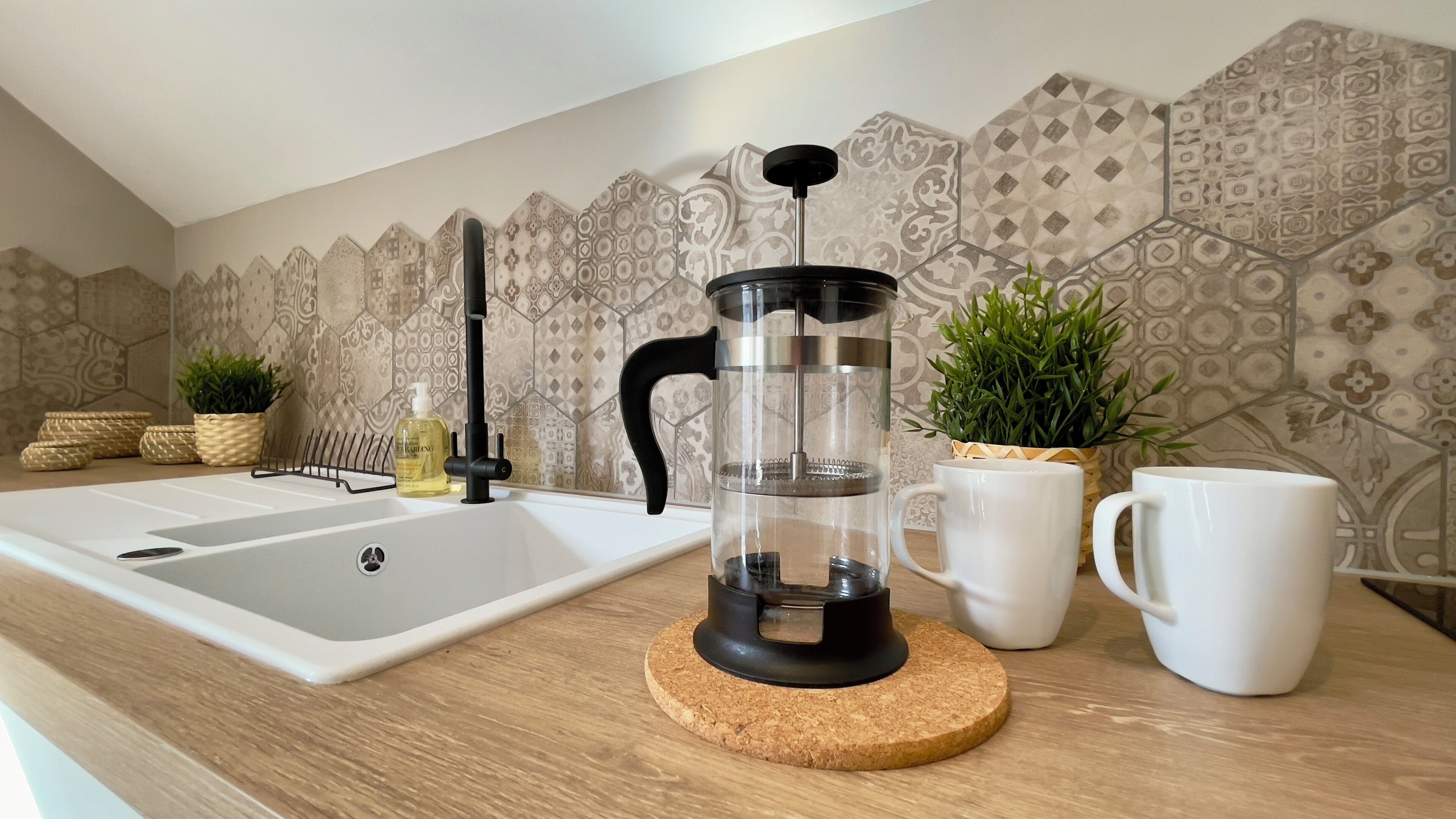 Un bancone cucina con una caffettiera a stantuffo, un lavello e due piante in vaso.