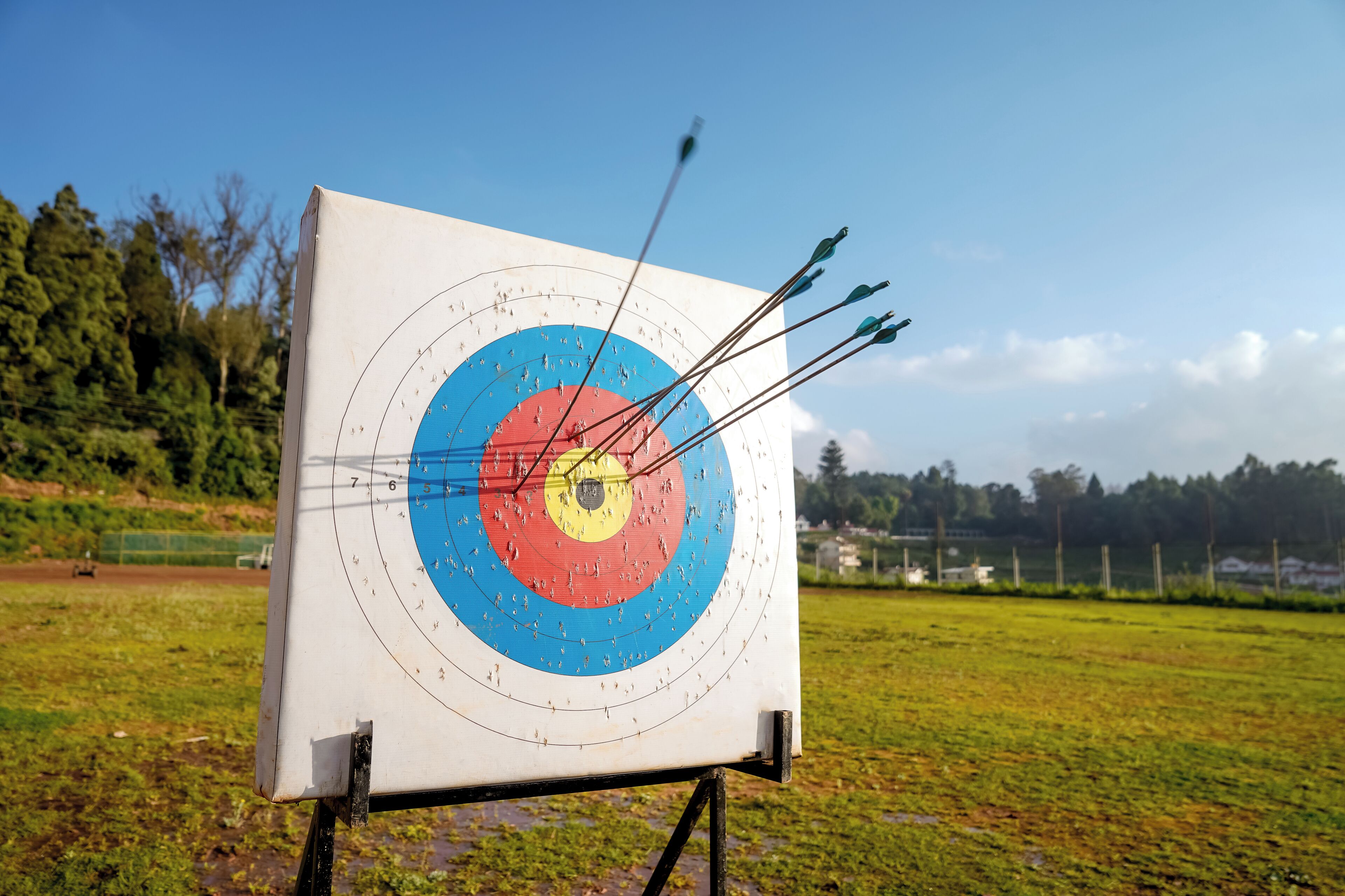 An outdoor archery target with arrows in the center, set against a grassy field with trees in the background.