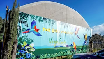 A large outdoor billboard advertising 'The Bird Kingdom' at Virgin Earth, featuring tropical birds and greenery.