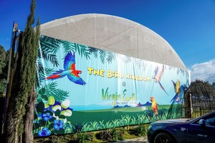 A large outdoor billboard advertising 'The Bird Kingdom' at Virgin Earth, featuring tropical birds and greenery.