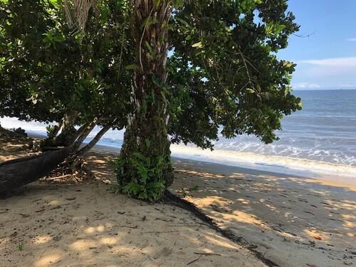 luxurious 3-bedroom villa : Your Dream Vacation in a Beachfront Villa in Kribi