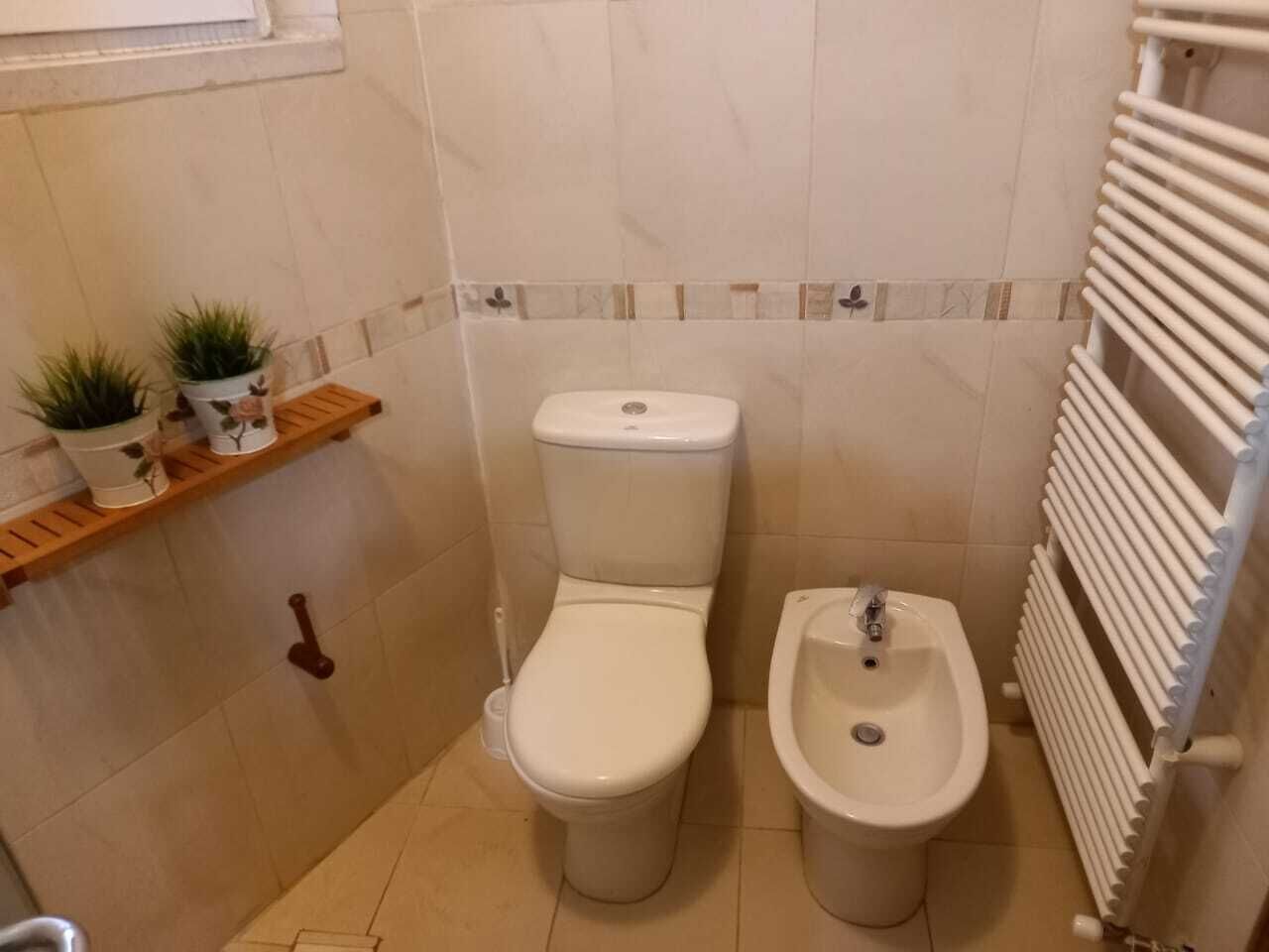 Et lille badeværelse med toilet, bidet og en hylde med potteplanter.