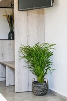 Habitación de lujo doble, balcón, vistas a la piscina | Wifi gratis y ropa de cama
