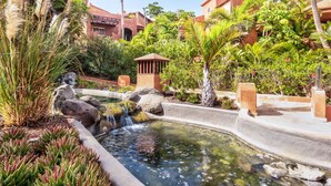 Un jardin aménagé avec une petite cascade, des palmiers et une variété de plantes.
