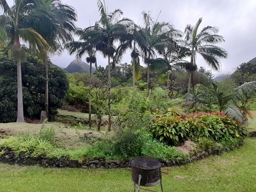 3-Ears Cottage with Full Kitchen and Nearby Equestrian Center