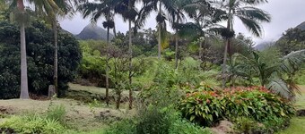 3-Ears Cottage with Full Kitchen and Nearby Equestrian Center