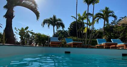 Gßte créole chic avec piscine, clim et wifi