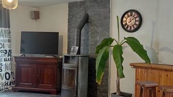 Una sala de estar con chimenea de piedra, televisor, reloj y una planta grande.