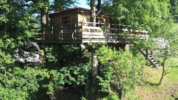 A treehouse with a wooden deck and a small building on stilts, surrounded by dense foliage.