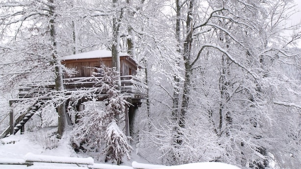 A wooden cabin surrounded by snow-covered trees.