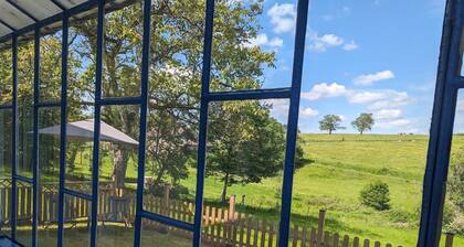 Charming forest cottage with terrace and Wifi in Plombières-les-Bains