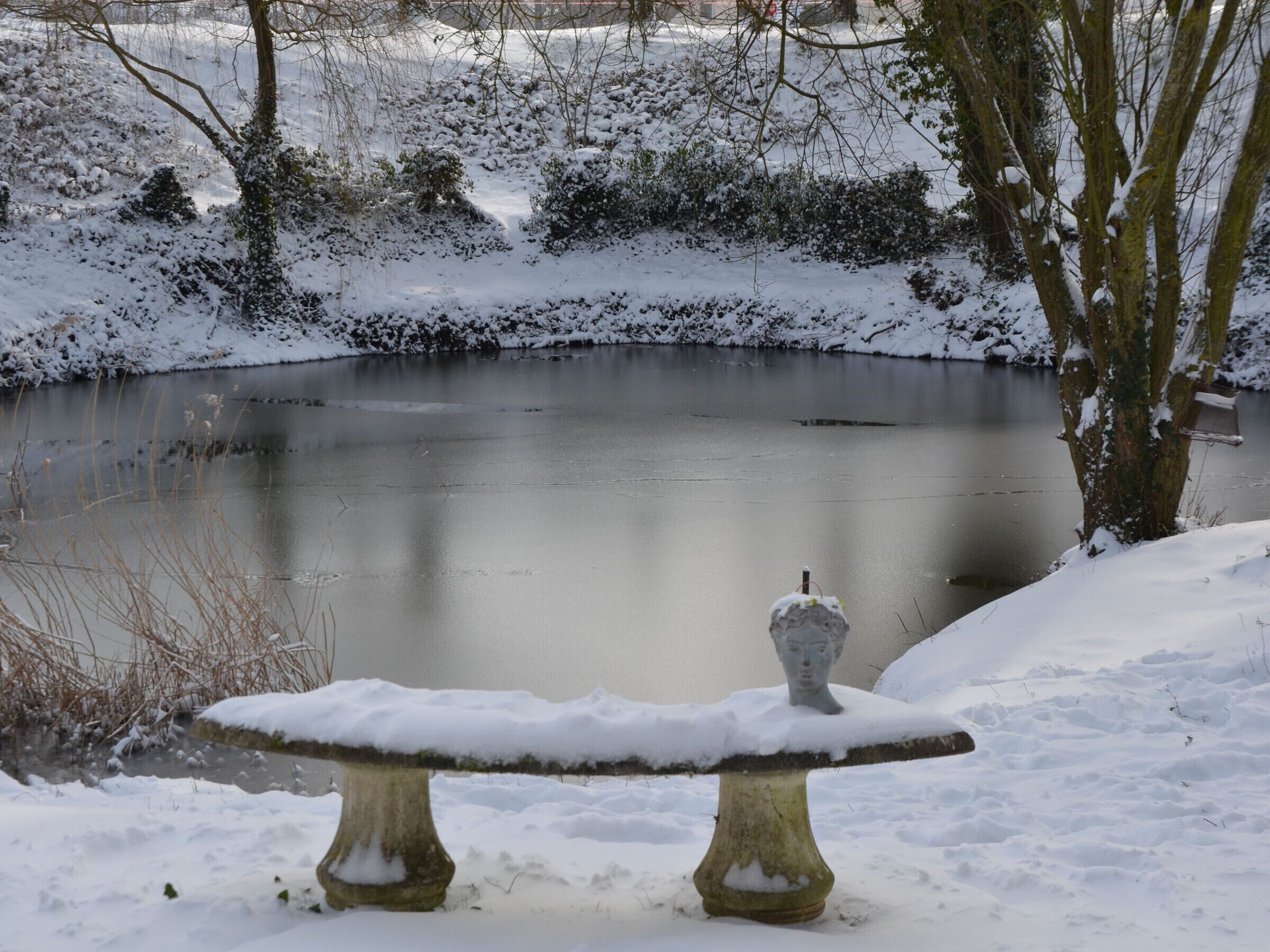 Un banc recouvert de neige, près d’un étang gelé, avec des arbres et des arbustes sans feuilles en arrière-plan.