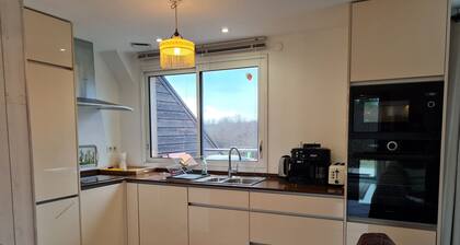 Gßte en Sologne avec Activités & Vol en MontgolfiÚre