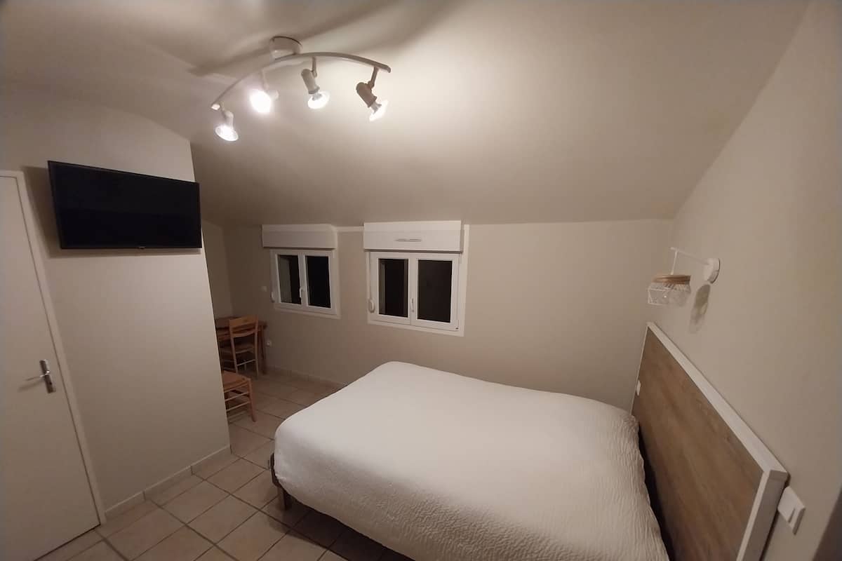 A bedroom with a bed, a desk, two windows, and a ceiling light fixture.