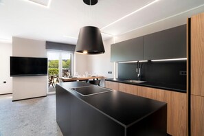 Superior Apartment, 2 Bedrooms, Courtyard View | Private kitchen - Marina Apartment with Terrace Burin 100 (Piran)