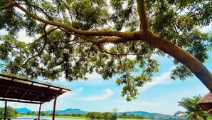 A wooden deck with a railing overlooking a body of water, surrounded by greenery and a clear sky. - Platinum Blue Island Resort (Akosombo)