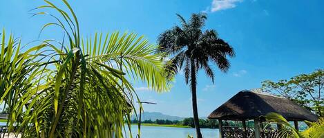 Un espacio exterior tranquilo con un pabellón de techo de paja, palmeras y vistas a un lago.