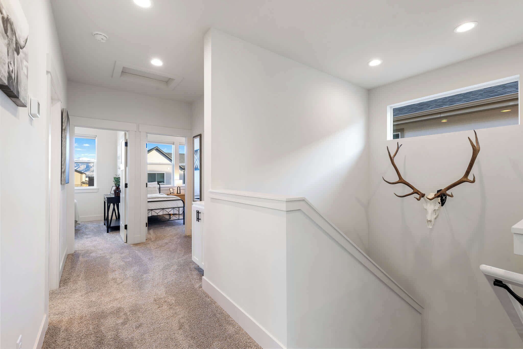 A hallway with a carpeted floor, white walls, and a mounted deer skull on the right wall.