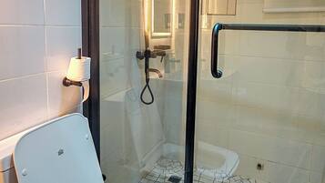 Shower, towels, toilet paper