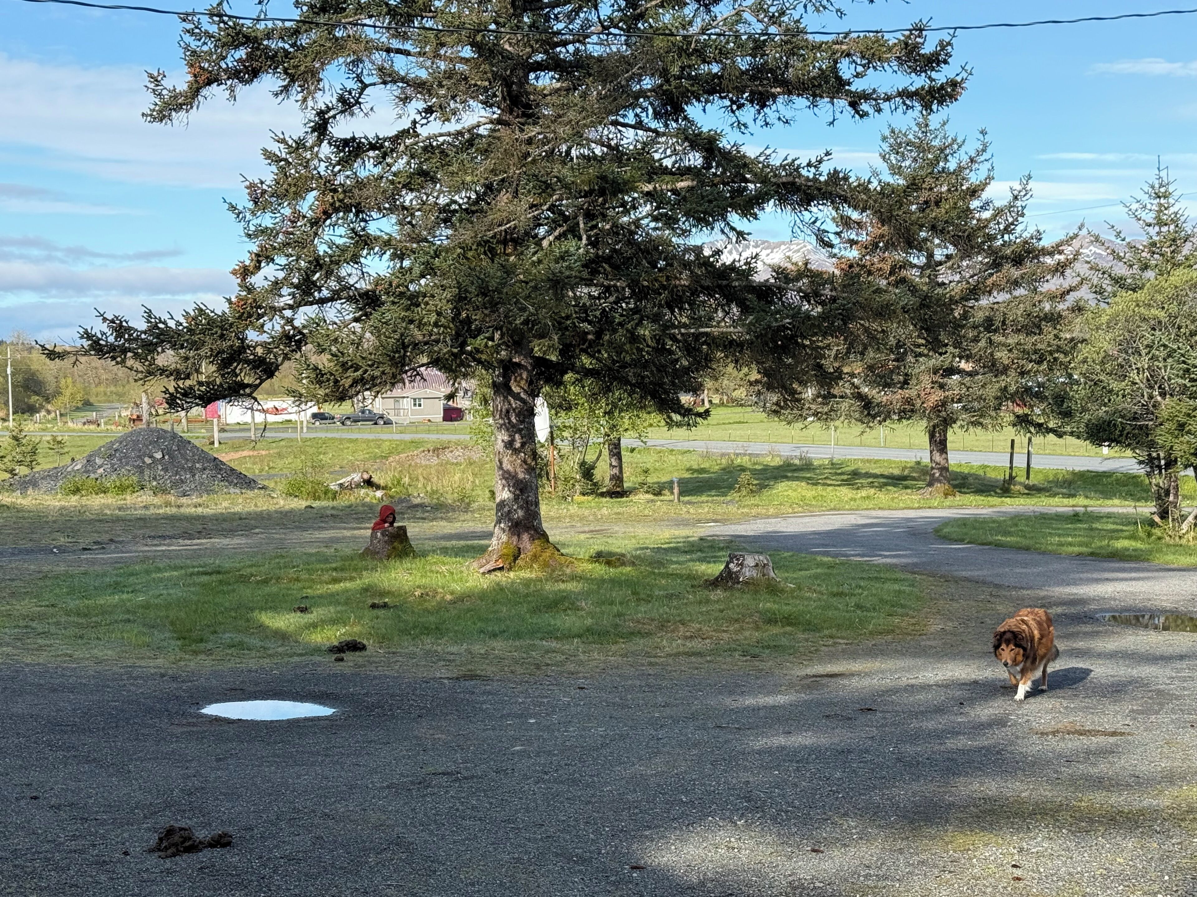 Enceinte de l’hébergement