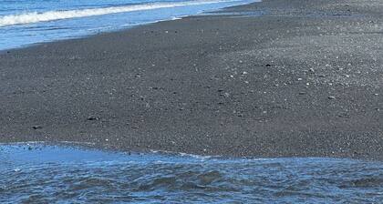 Kodiak Fishing-Hunting Lodge offers wilderness within driving distance to city