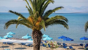 A beach with palm trees, blue umbrellas, and lounge chairs. - Aphrodite Beach Hotel Corfu (Corfu)