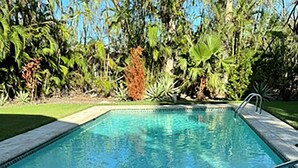 Una piscina rectangular con borde de azulejos, rodeada de exuberante follaje y un cielo azul despejado.