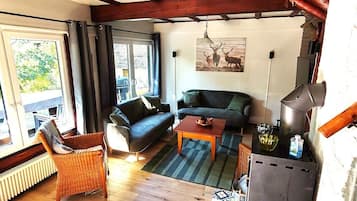 智能電視、壁爐、DVD 播放機、書籍