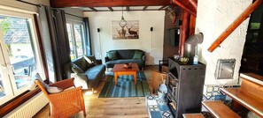 TV connectée, cheminée, lecteur de DVD, livres