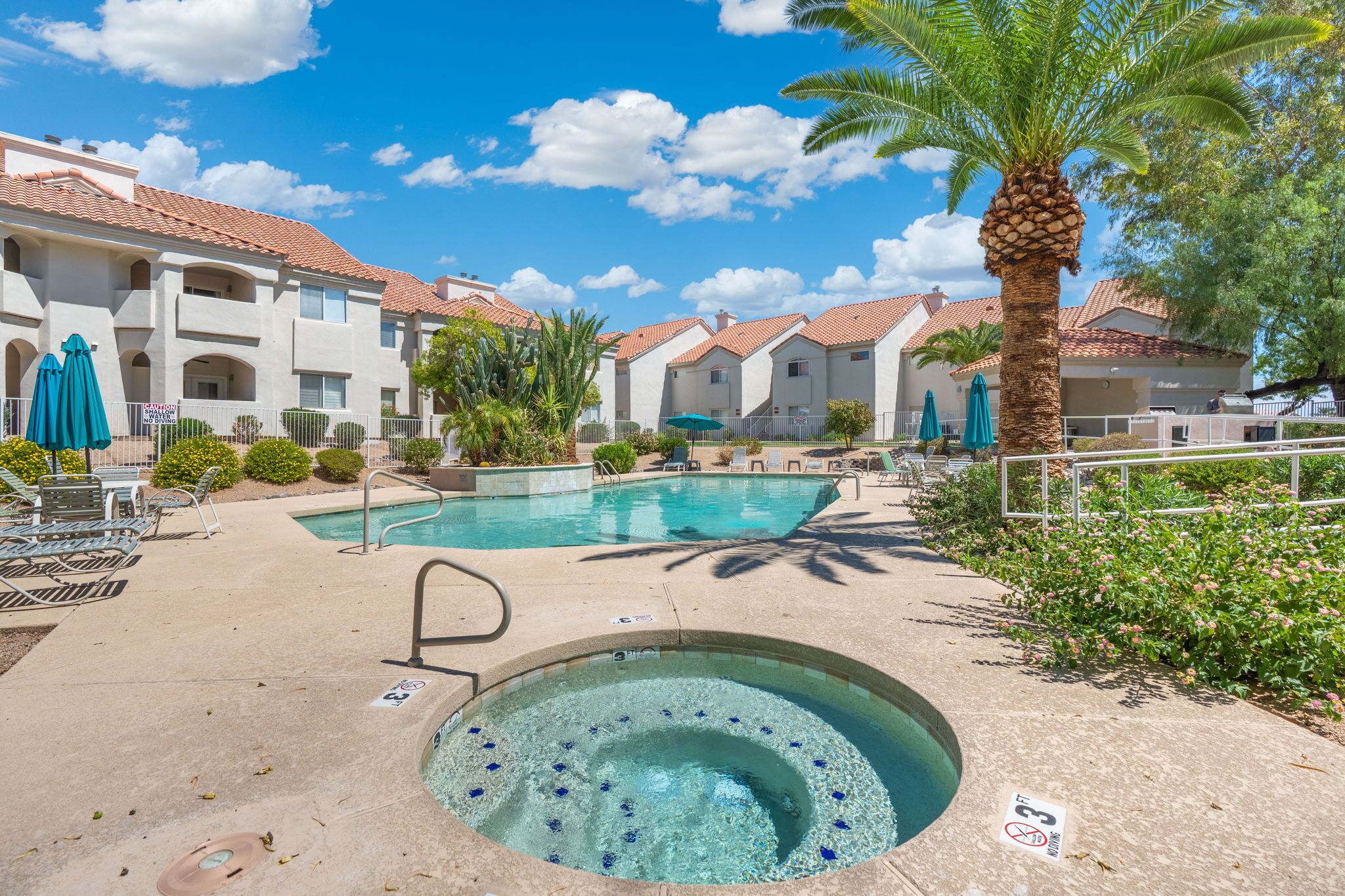 Un espace piscine avec un jacuzzi, des chaises longues et un palmier.