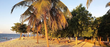 Beach