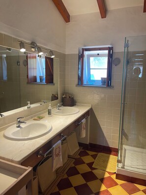 Hair dryer, bidet, towels, soap