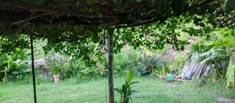 Excellent APARTMENT close to the center