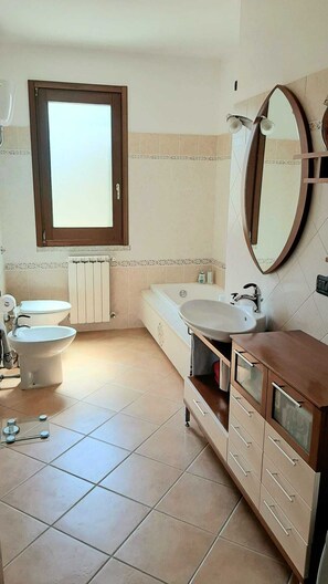 Shower, hair dryer, bidet, towels