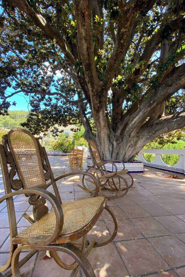Gemeinsamer Schlafsaal, 1 Schlafzimmer, Raucher, eigener Pool | Terrasse/Patio