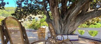 Room-lemon Room Your Oasis of Tranquil