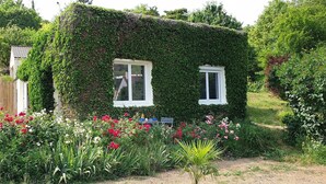 A house covered in ivy with two windows, surrounded by a garden with various flowers.