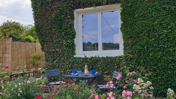 A house with a window surrounded by a lush green ivy wall. There is a small patio area with a table, chairs, and a few potted plants.