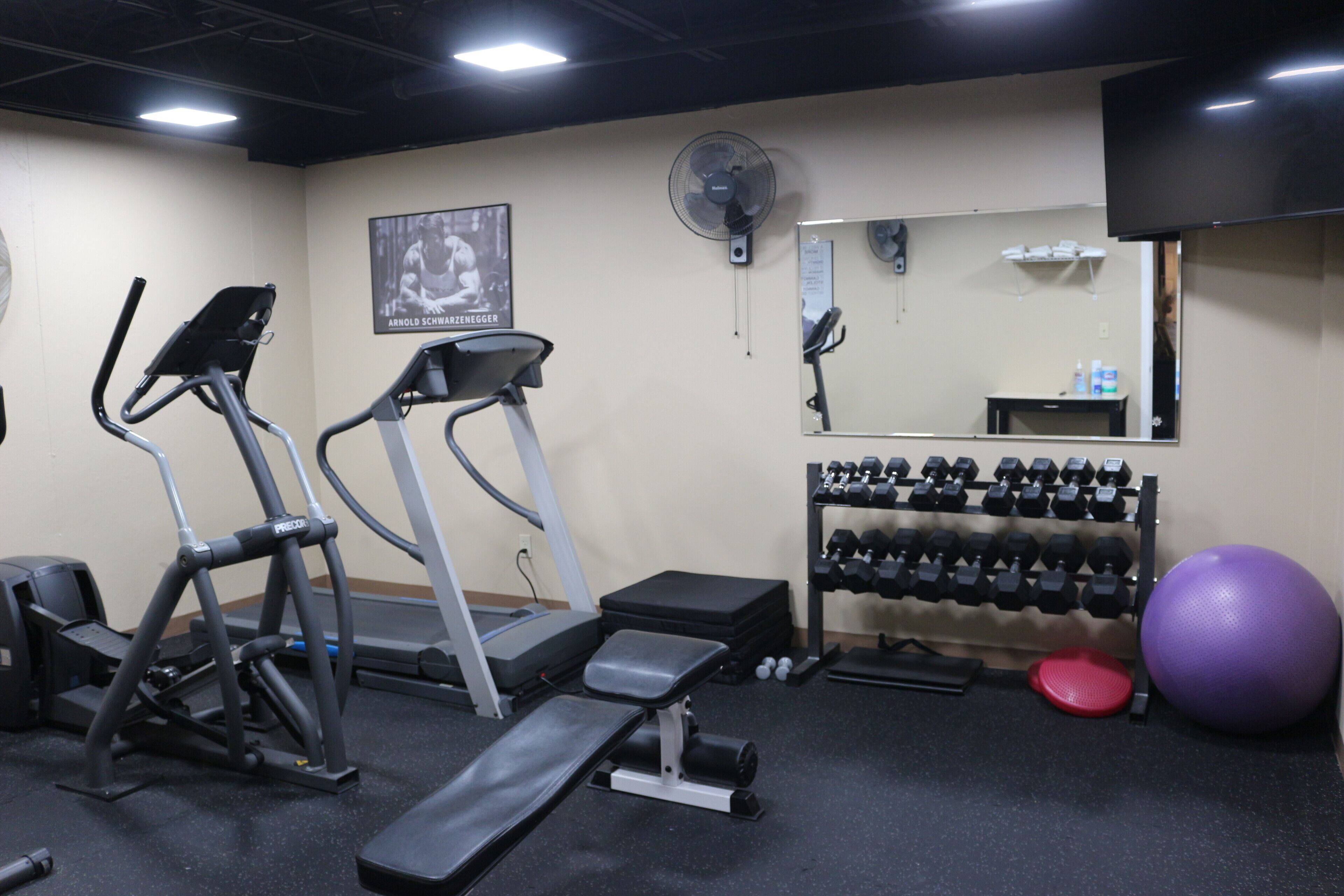 Une salle de sport équipée de tapis de course, d’un banc, d’haltères, d’un ventilateur et d’un grand ballon d’exercice.